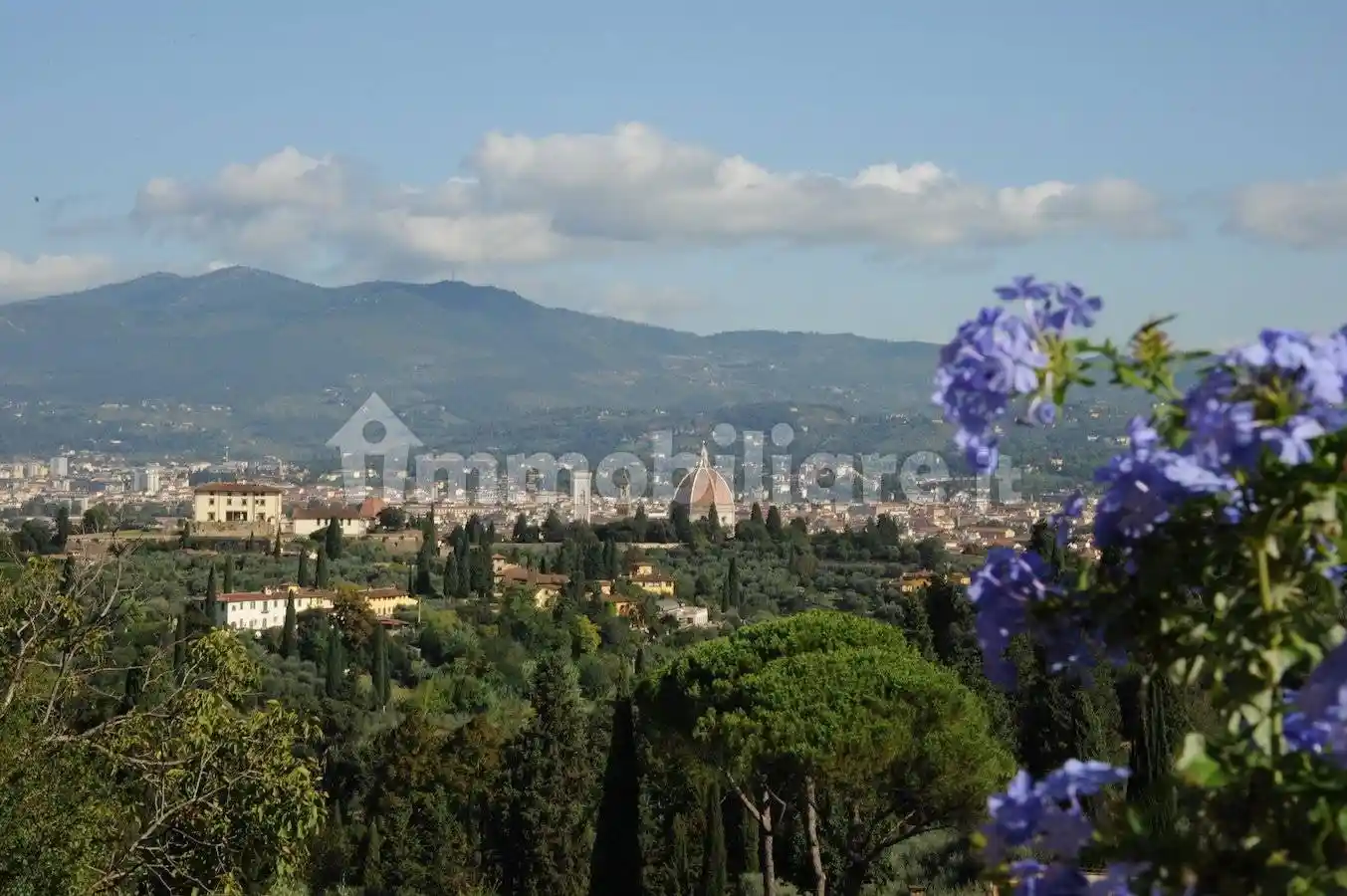 Appartamento in affitto a Firenze