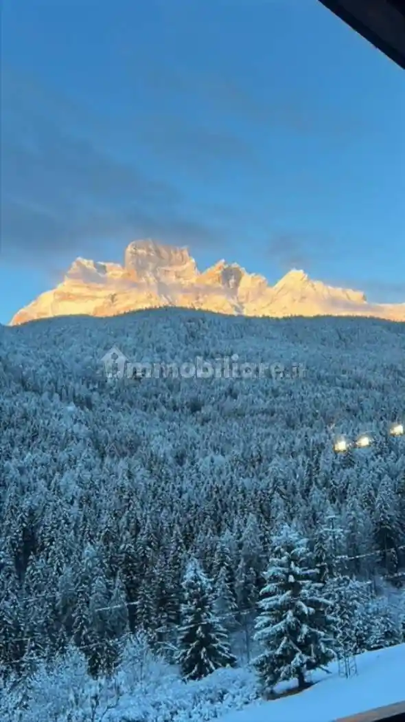 Appartamento in vendita a Borca di Cadore