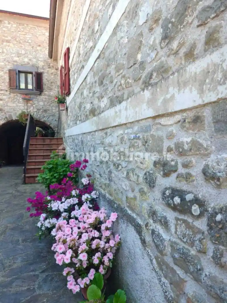 Casa indipendente in vendita a Licciana Nardi