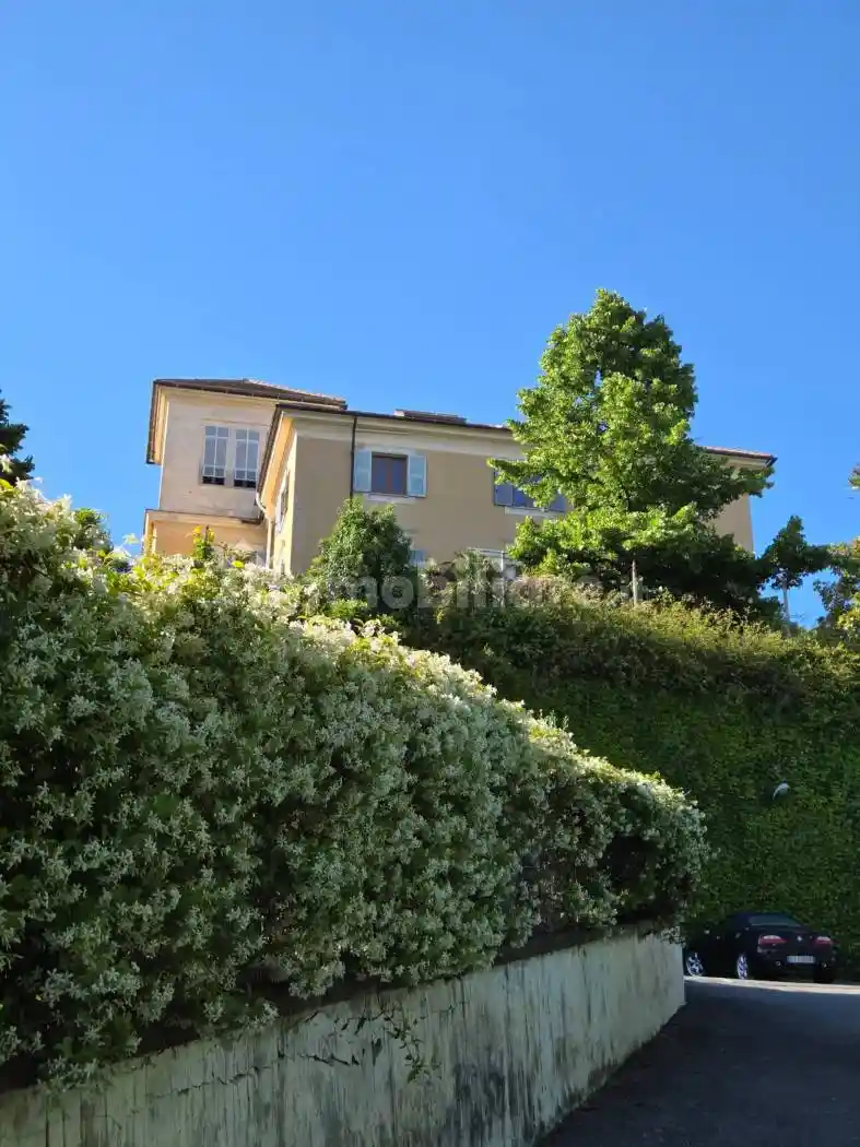 Appartamento in affitto a Savona