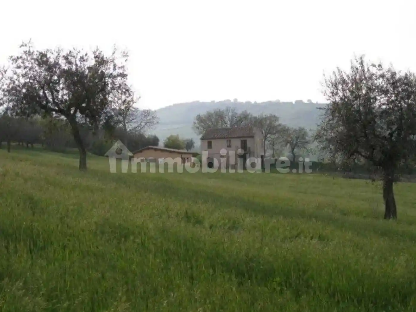 Rustico - Casale in vendita a Bellante