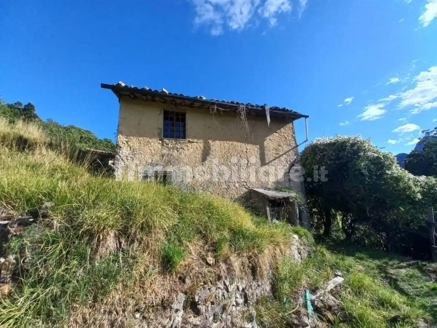 Rustico - Casale in vendita a Molazzana
