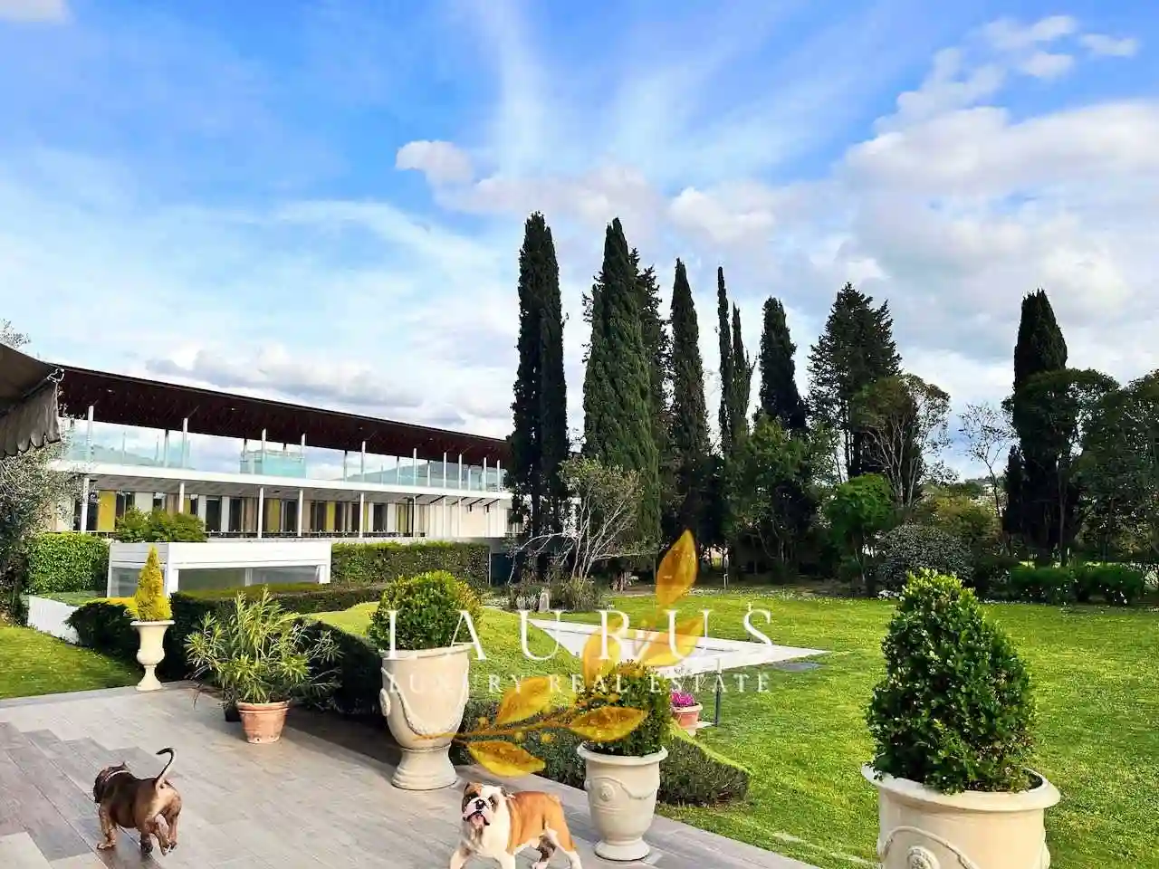 Villa - foto 4