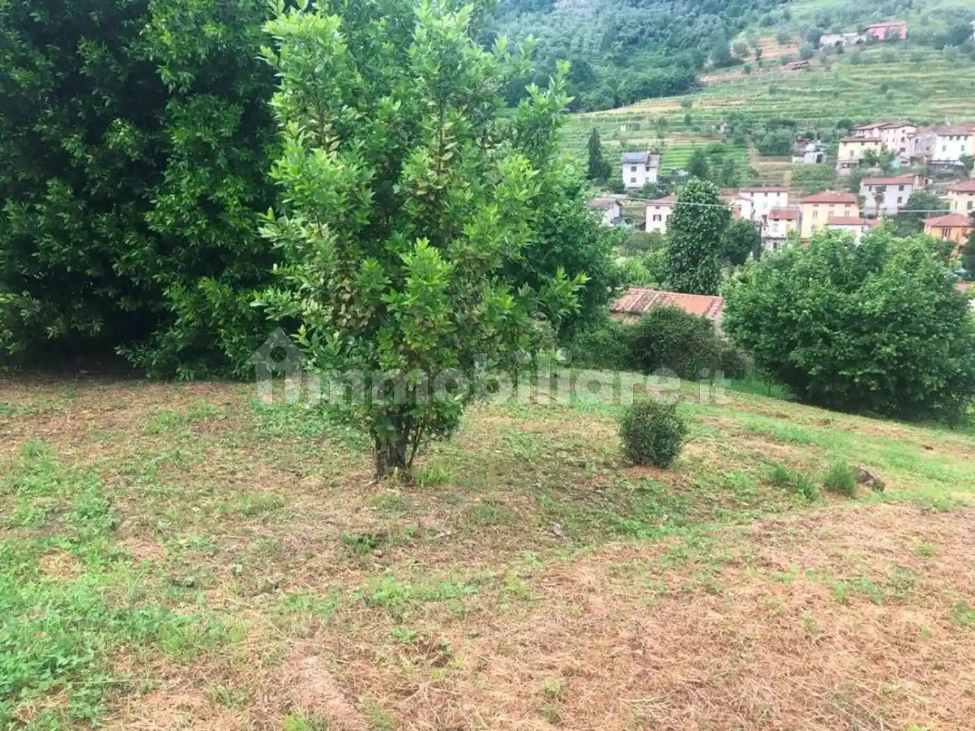 Rustico - Casale in vendita a Borgo a Mozzano