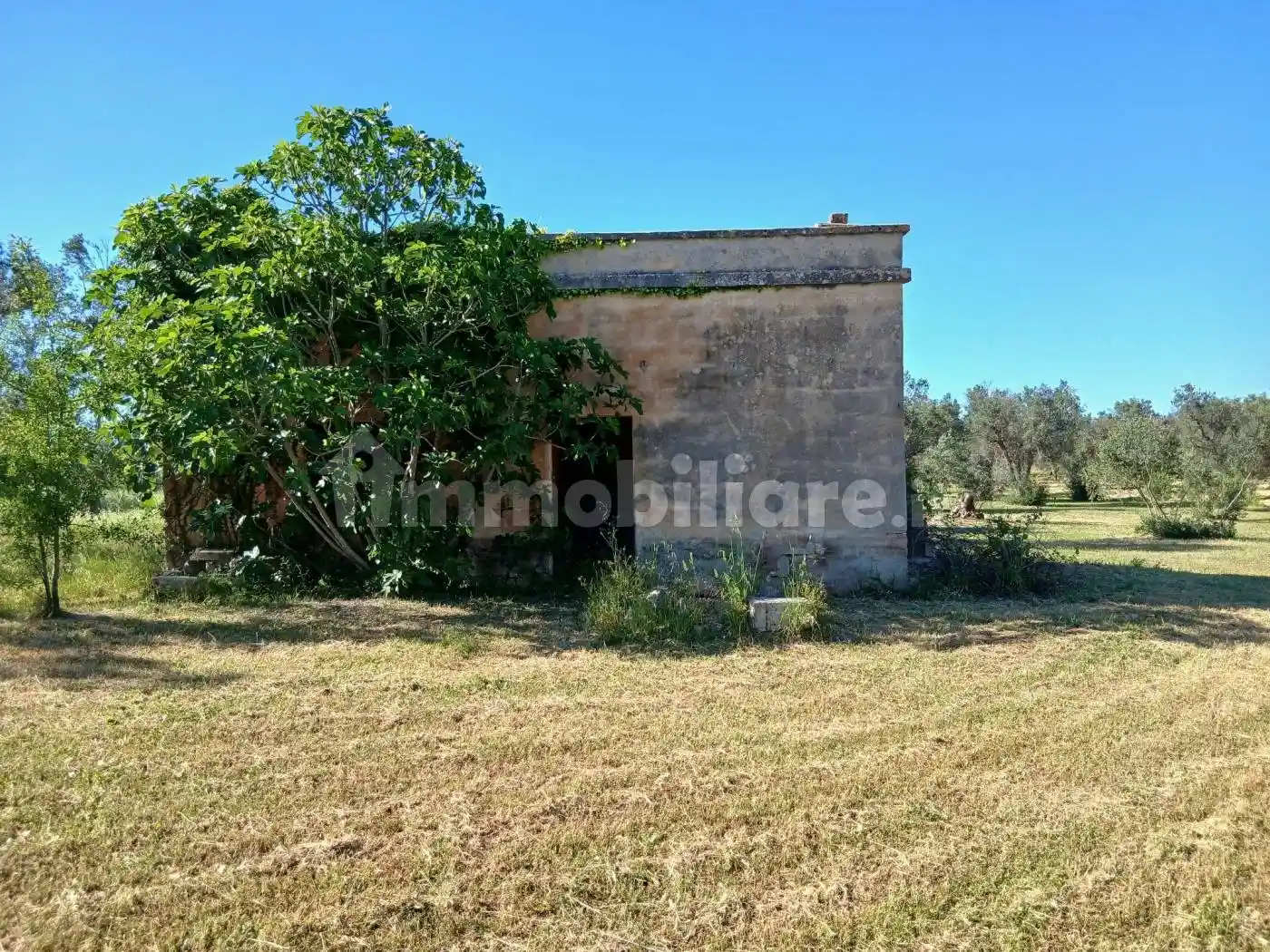 Rustico - Casale in vendita a Latiano
