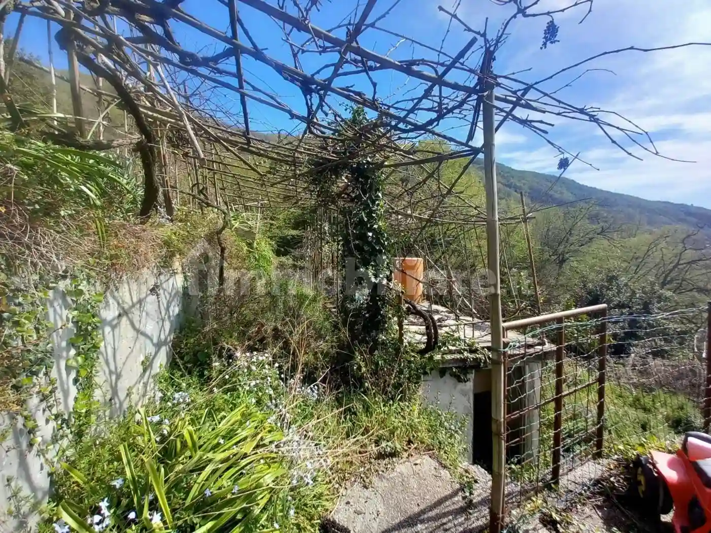 Casa indipendente - foto 4