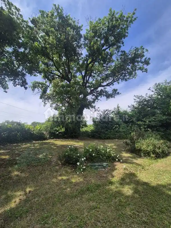 Rustico - Casale in vendita a Corinaldo
