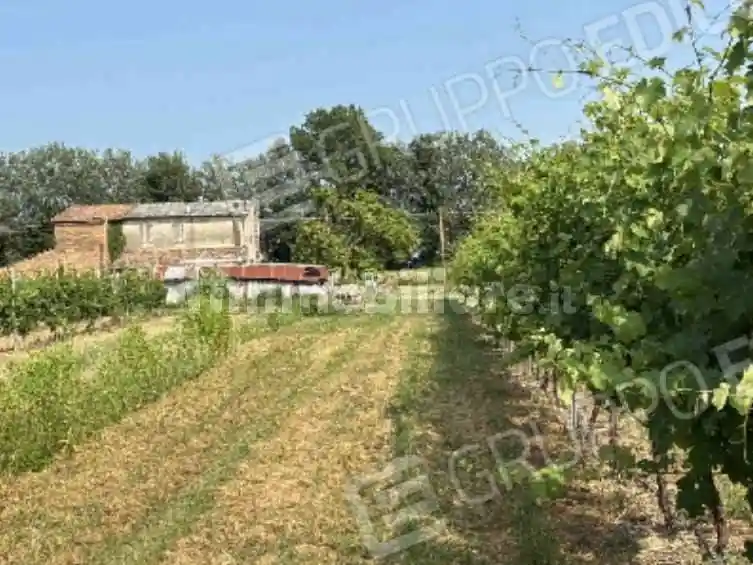 Casa indipendente in vendita a Bagnacavallo