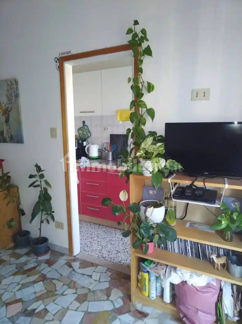 Appartamento in affitto a Bologna