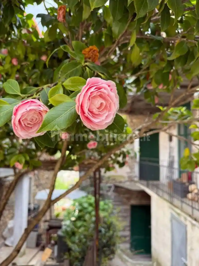 Casa indipendente in vendita a Alto