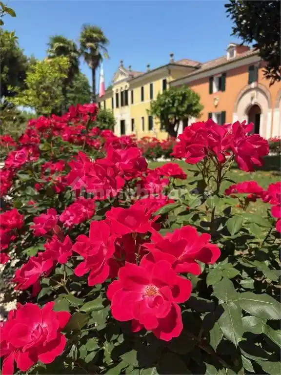 Villa in vendita a Castelfranco Veneto