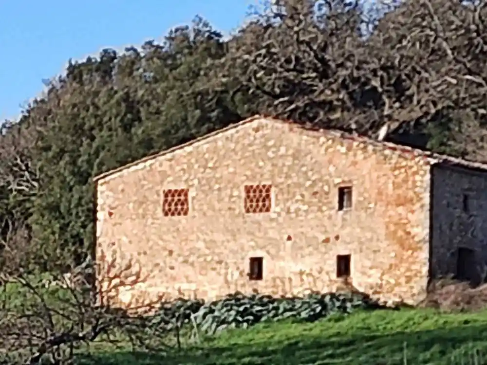 Rustico - Casale in vendita a Casole d'Elsa