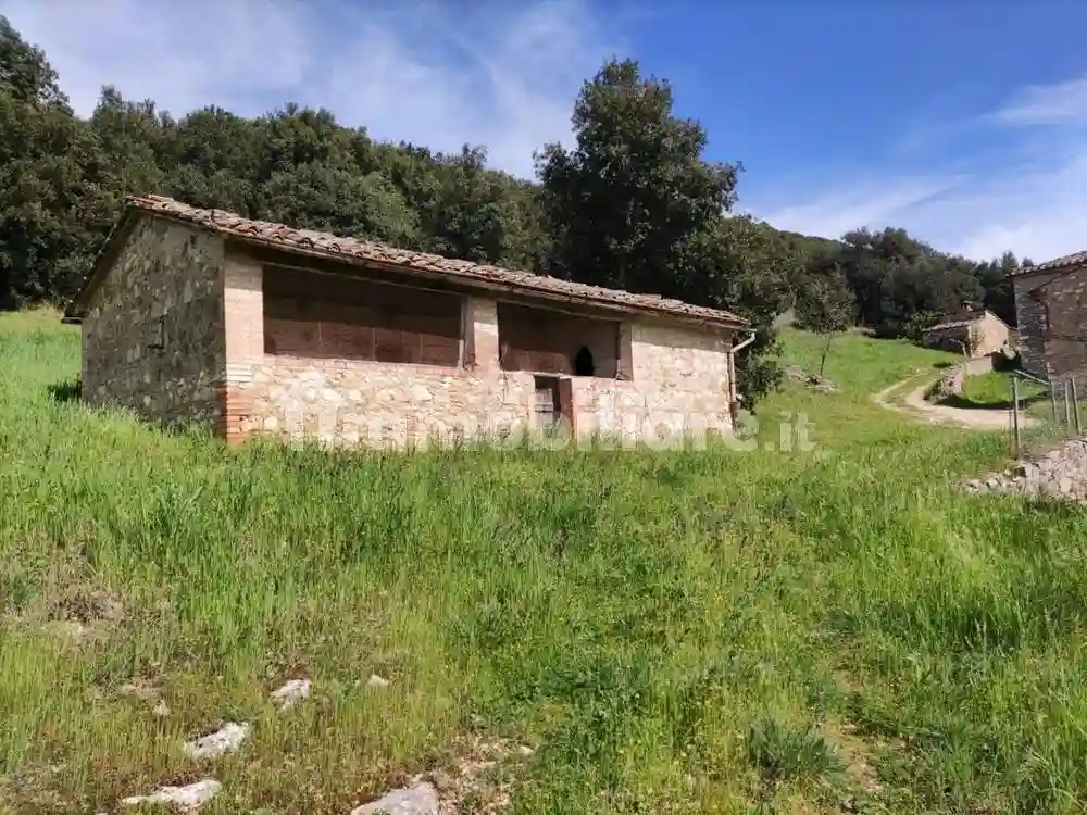 Rustico - Casale - foto 3