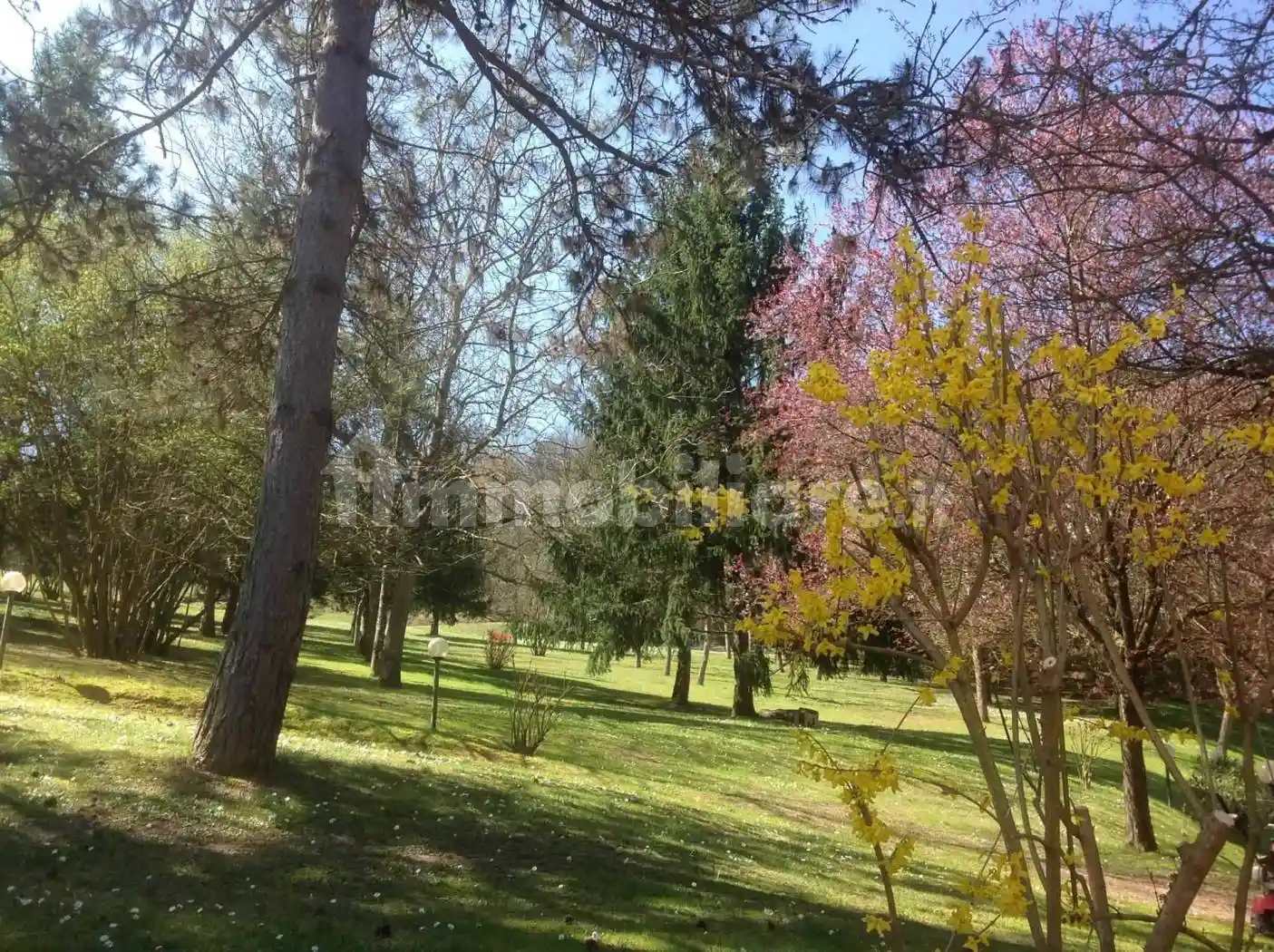Villa in vendita a Borgo San Lorenzo