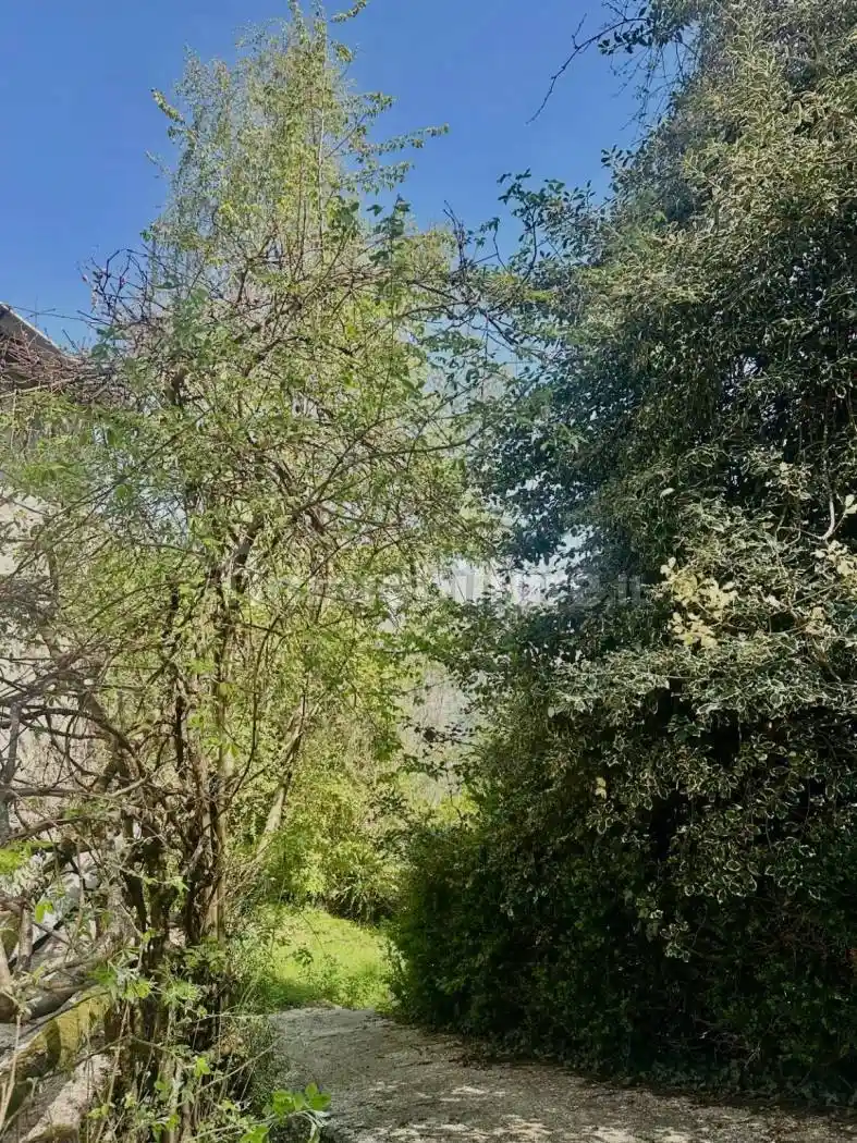 Rustico - Casale in vendita a Pertica Alta