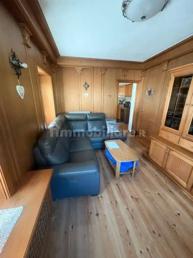 Appartamento in vendita a Santo Stefano di Cadore