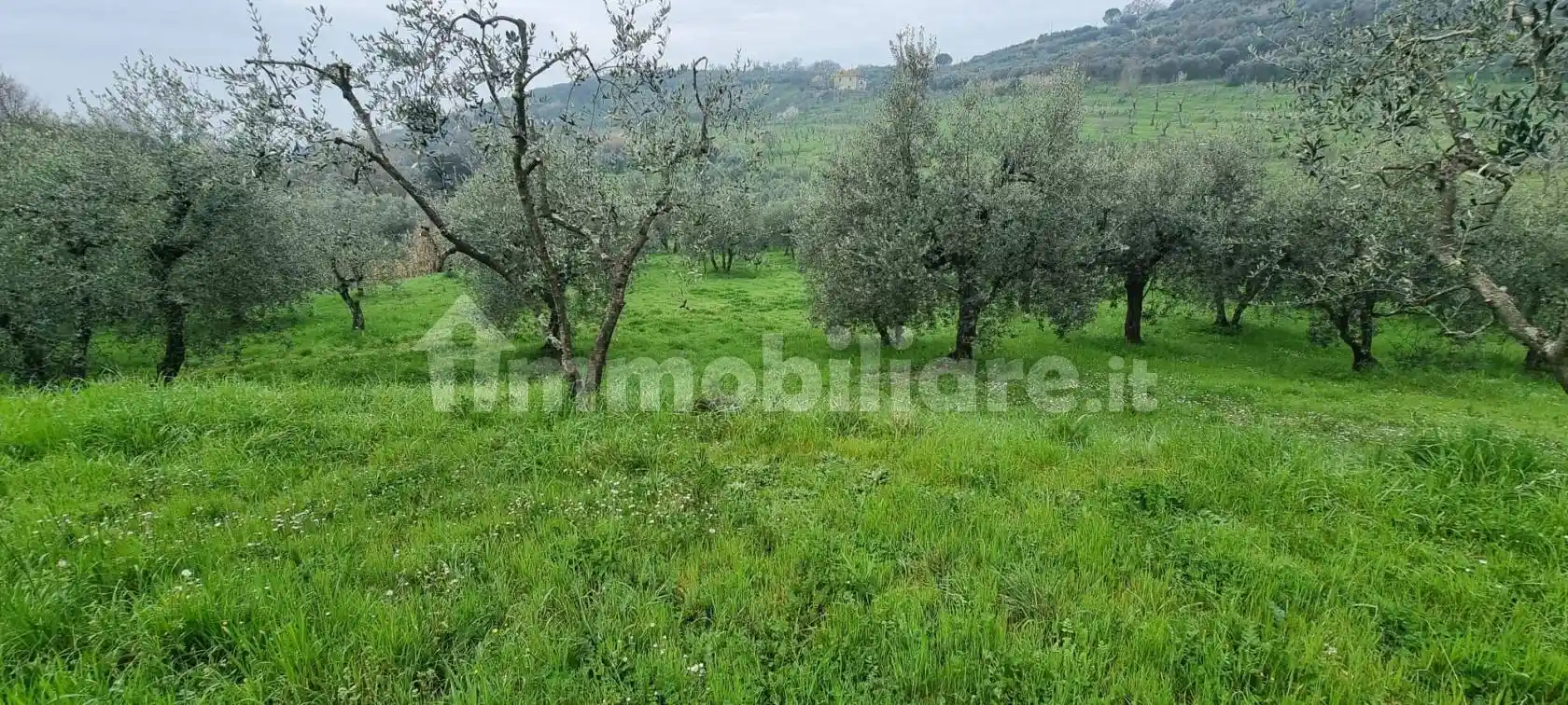 Casa indipendente in vendita a Monsummano Terme
