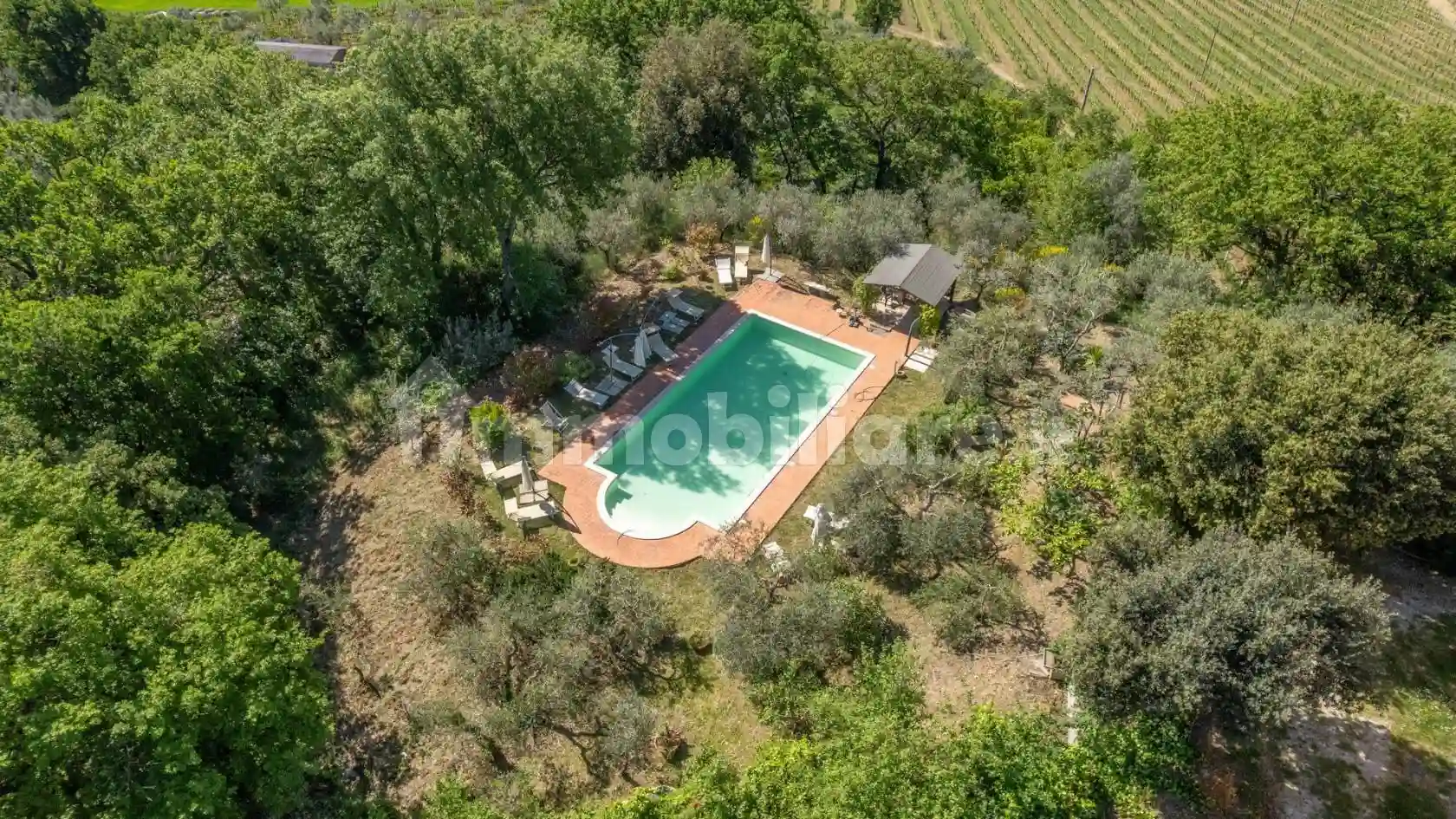 Rustico - Casale - foto 5
