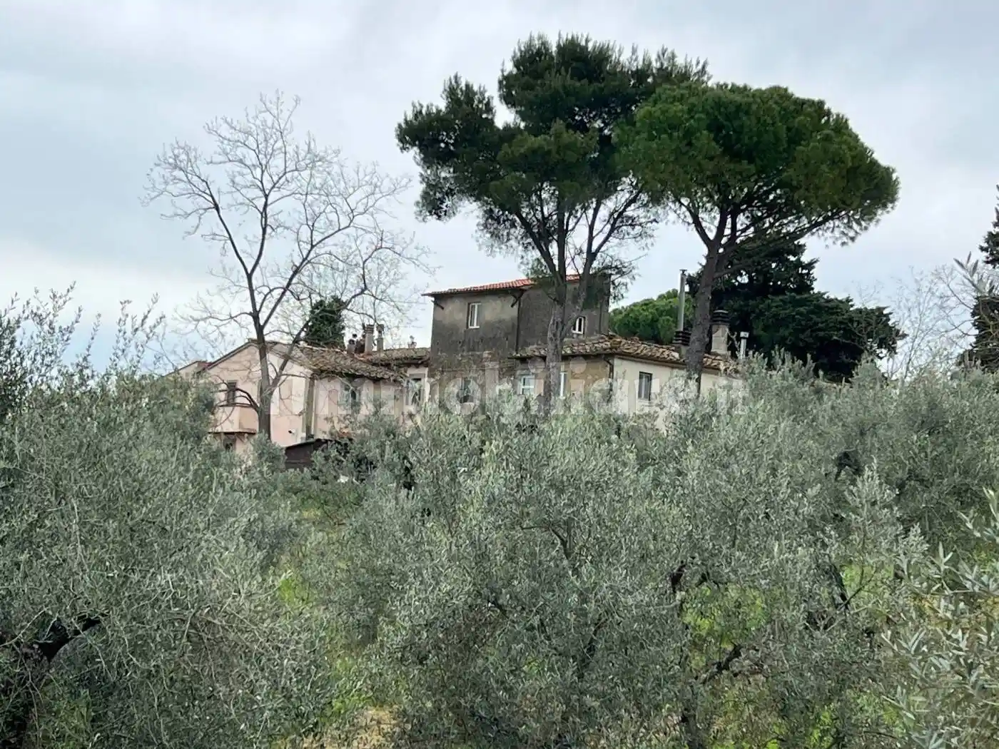 Rustico - Casale in vendita a Collesalvetti