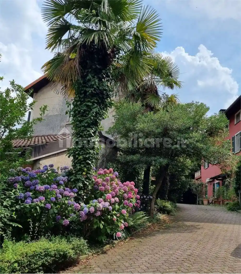 Appartamento in affitto a Cernobbio