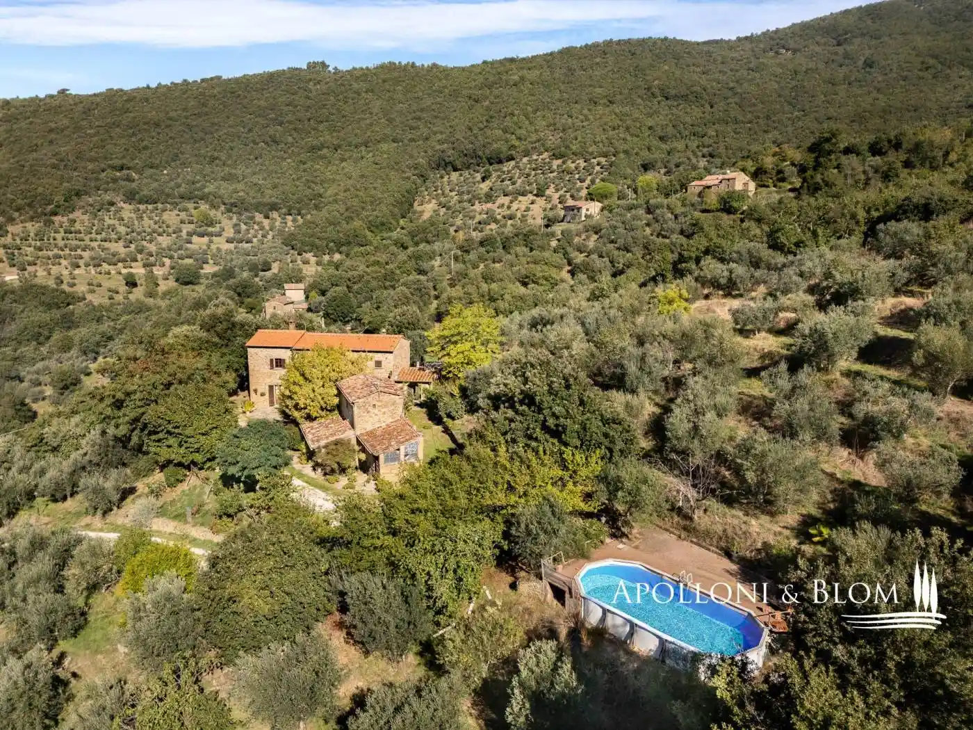 Rustico - Casale in vendita a Cortona
