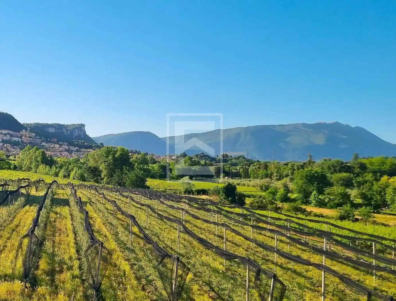 Rustico - Casale in vendita a Cavaion Veronese