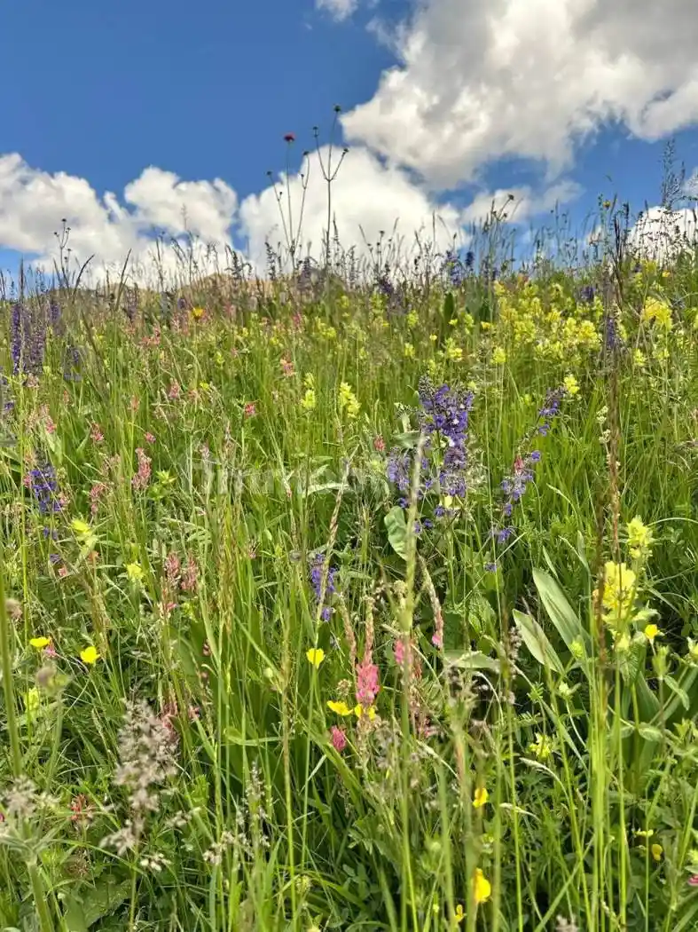 Appartamento in vendita a Castello-Molina di Fiemme