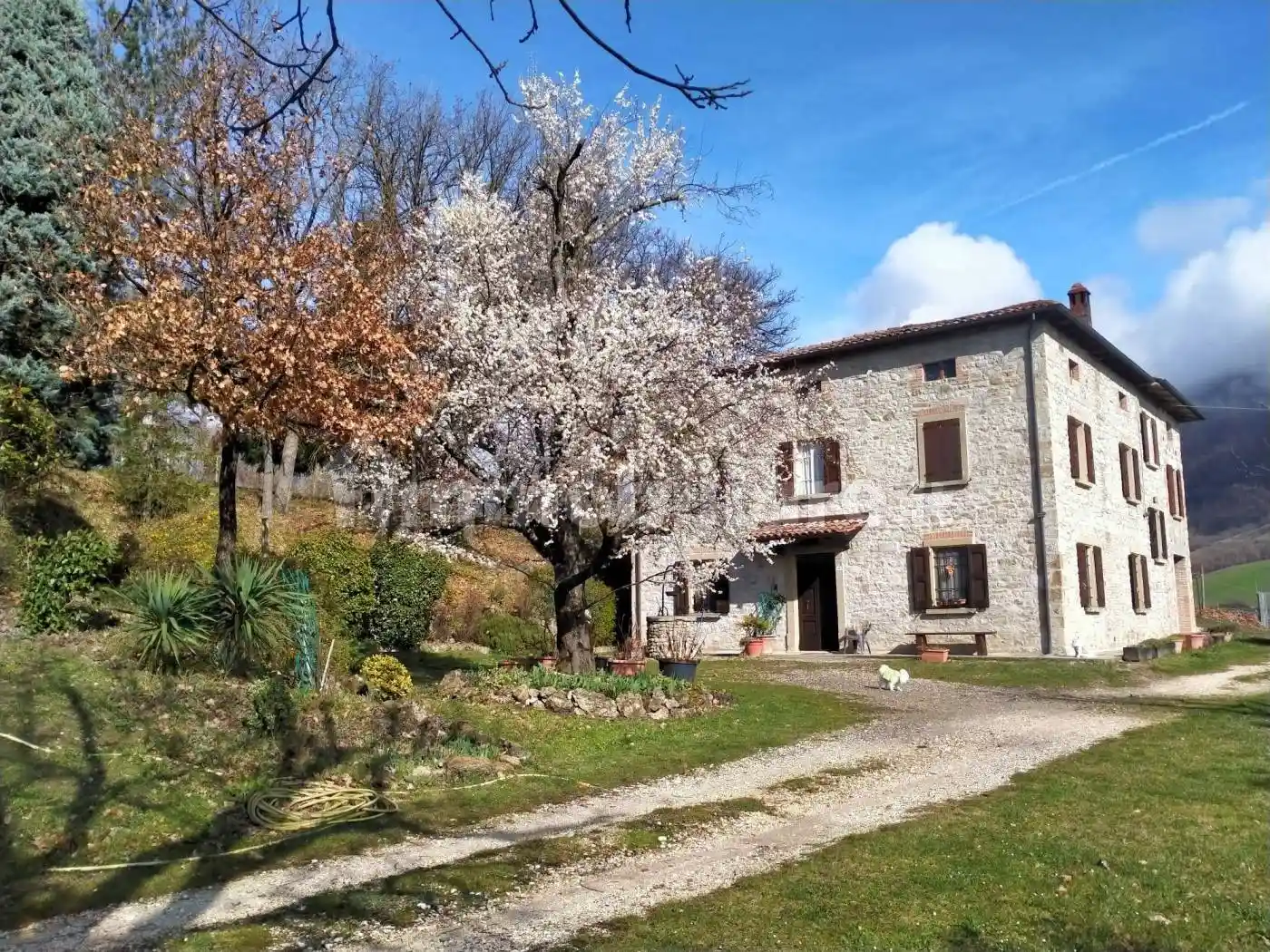 Rustico - Casale in vendita a Vergato