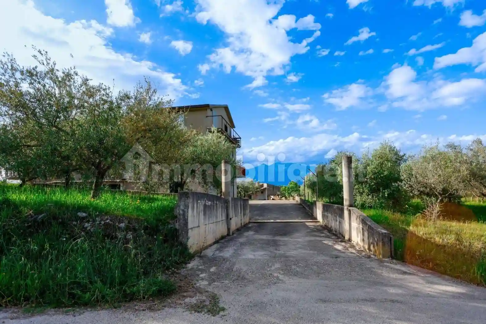 Rustico - Casale - foto 4