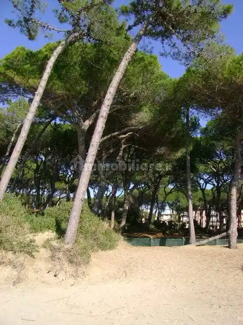 Appartamento in vendita a Follonica
