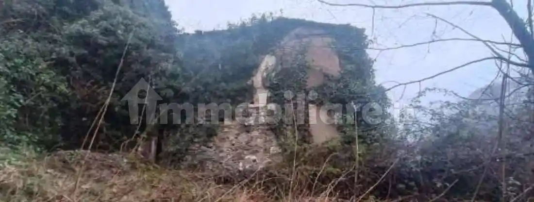 Rustico - Casale in vendita a Favale di Malvaro
