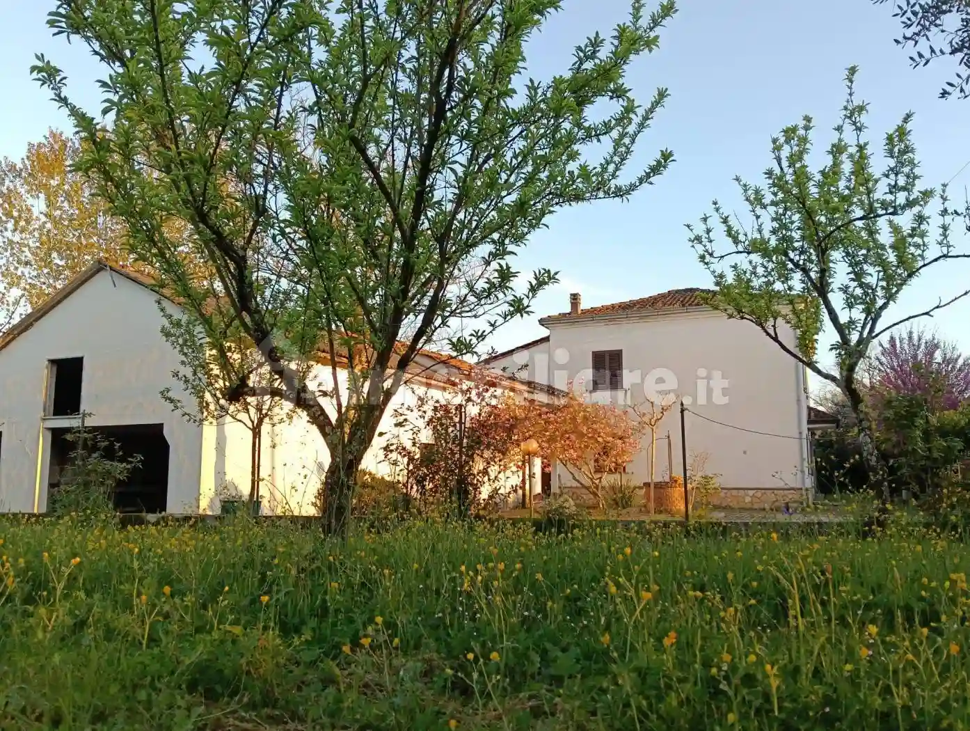 Rustico - Casale - foto 3