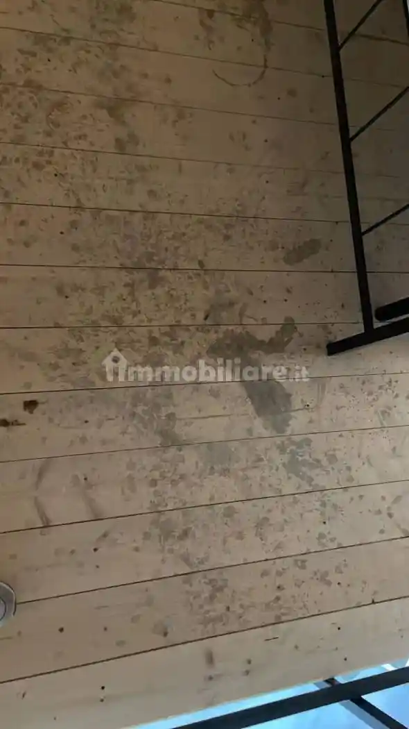 Appartamento in affitto a Siracusa