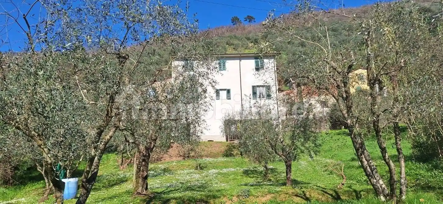 Appartamento in vendita a Borgo a Mozzano