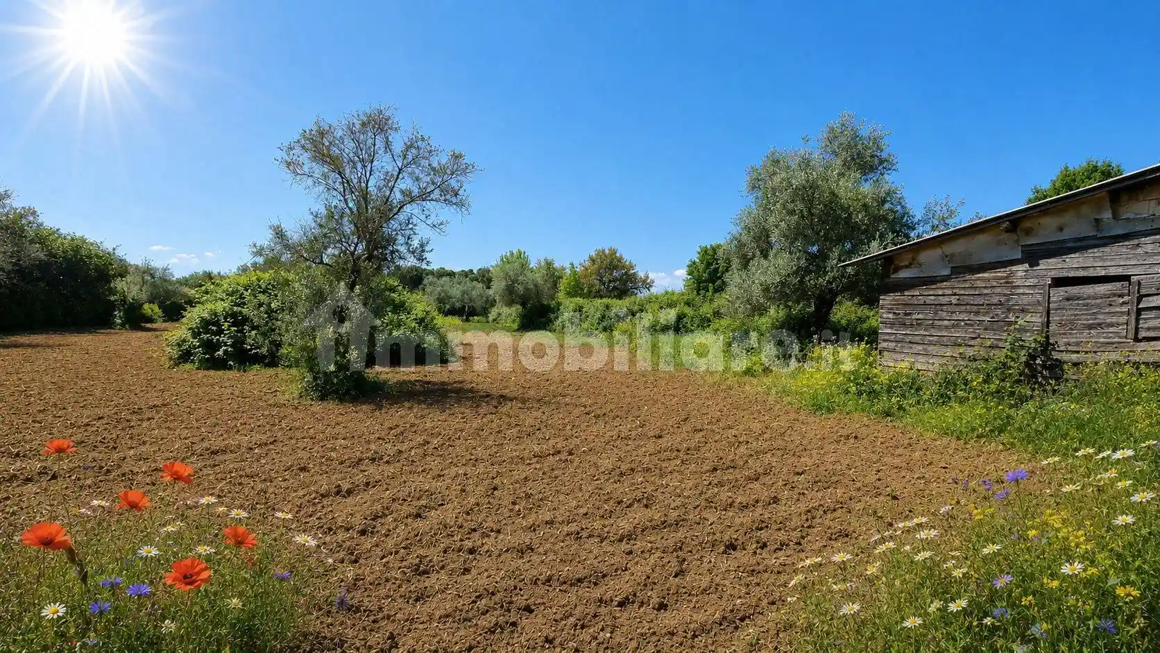 Rustico - Casale in vendita a Trevignano Romano