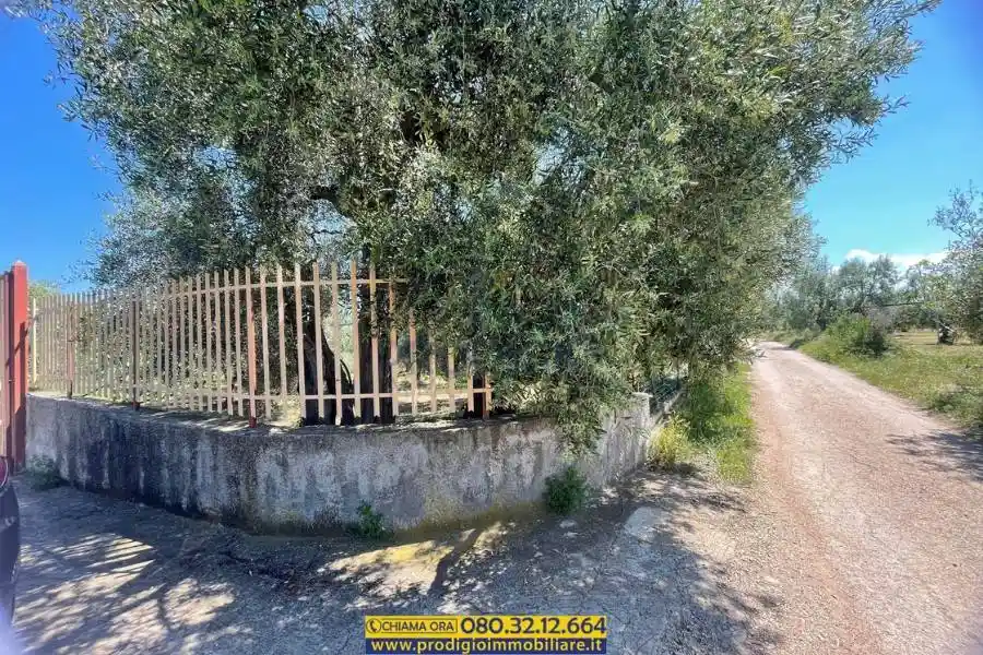 Villa in vendita a Molfetta
