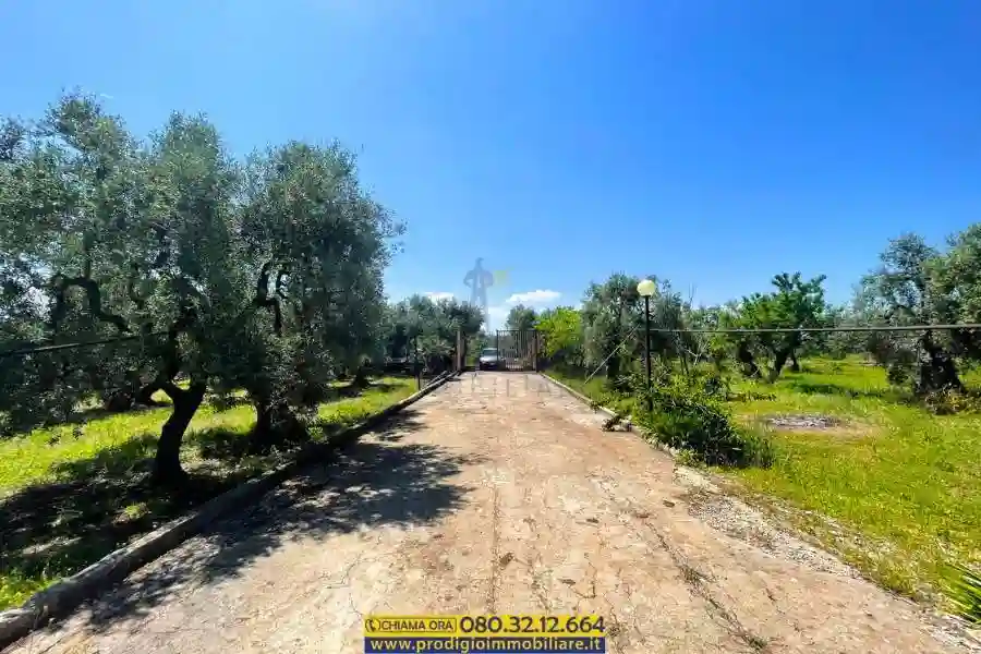 Villa - foto 5