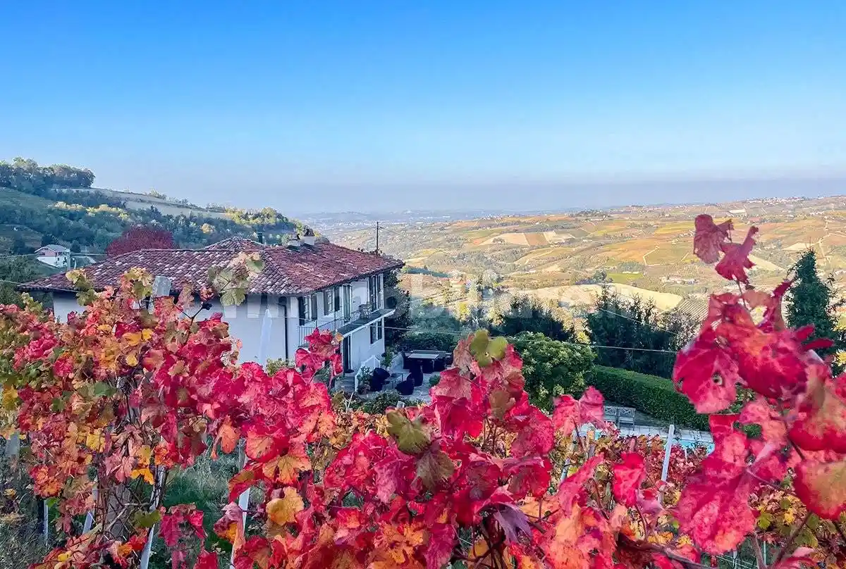 Villa in vendita a Diano d'Alba