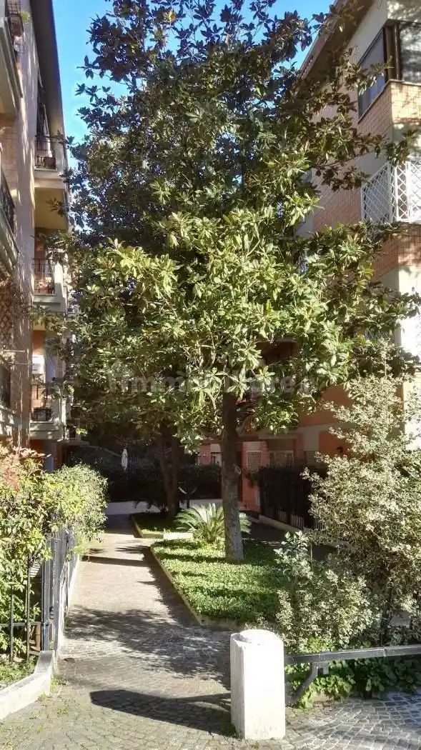 Appartamento in affitto a Roma