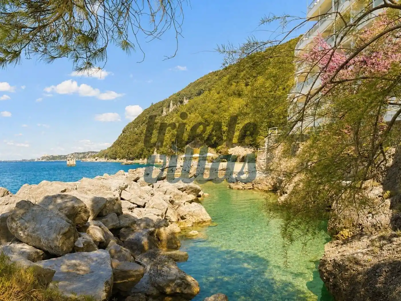 Appartamento in affitto a Duino-Aurisina