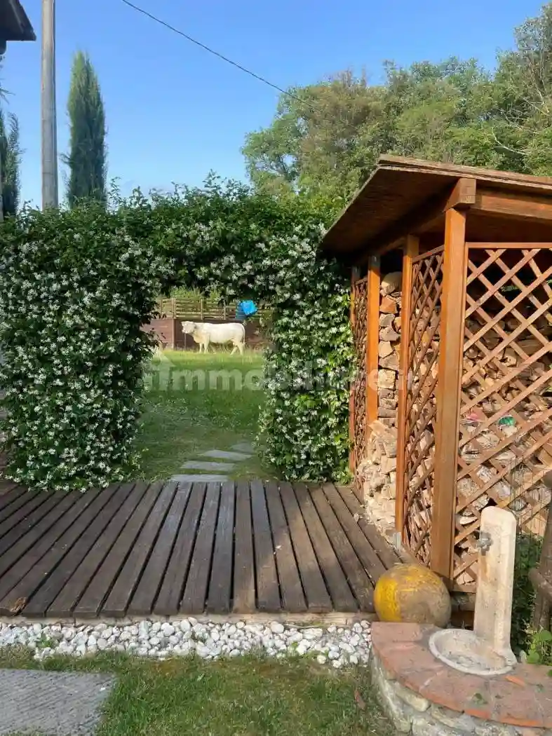 Casa indipendente - foto 4