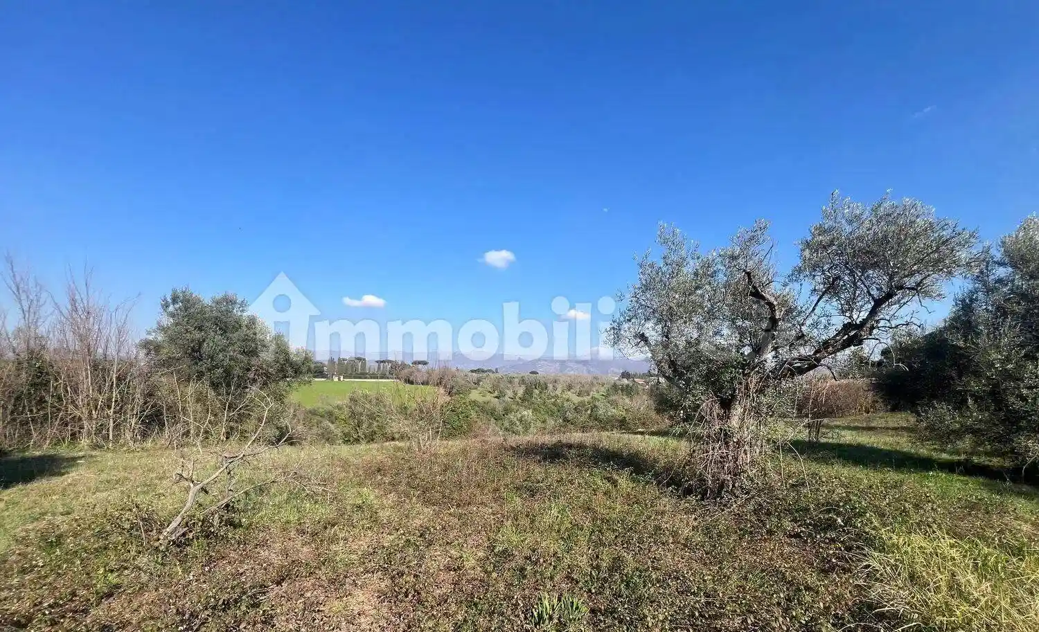 Villa in vendita a Zagarolo