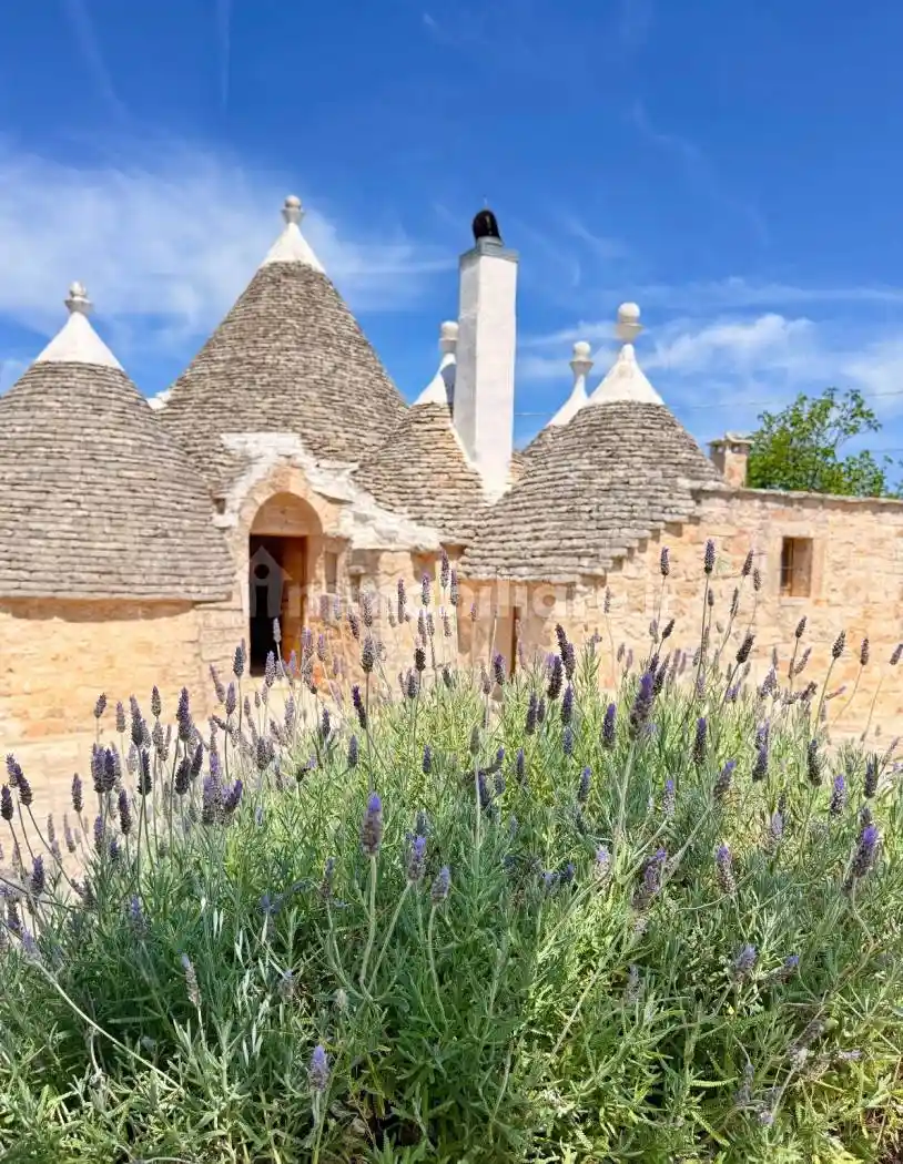 Rustico - Casale in vendita a Locorotondo