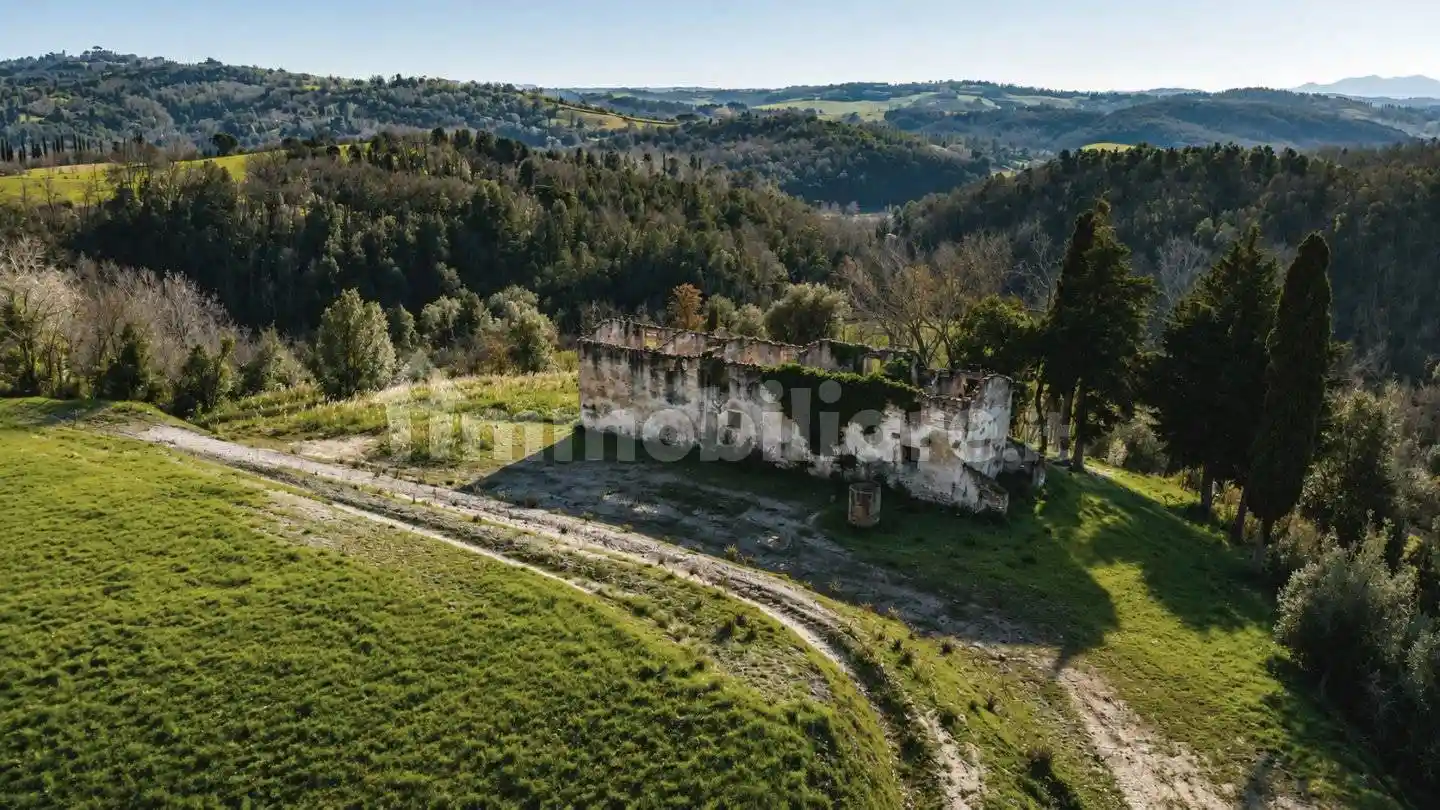 Rustico - Casale in vendita a Palaia