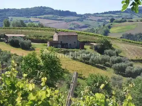 Rustico - Casale in vendita a Montefiore dell'Aso