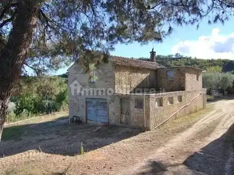 Rustico - Casale in vendita a Montefiore dell'Aso