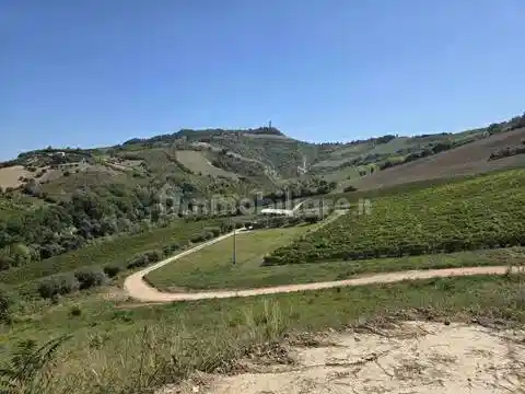 Rustico - Casale in vendita a Ripatransone