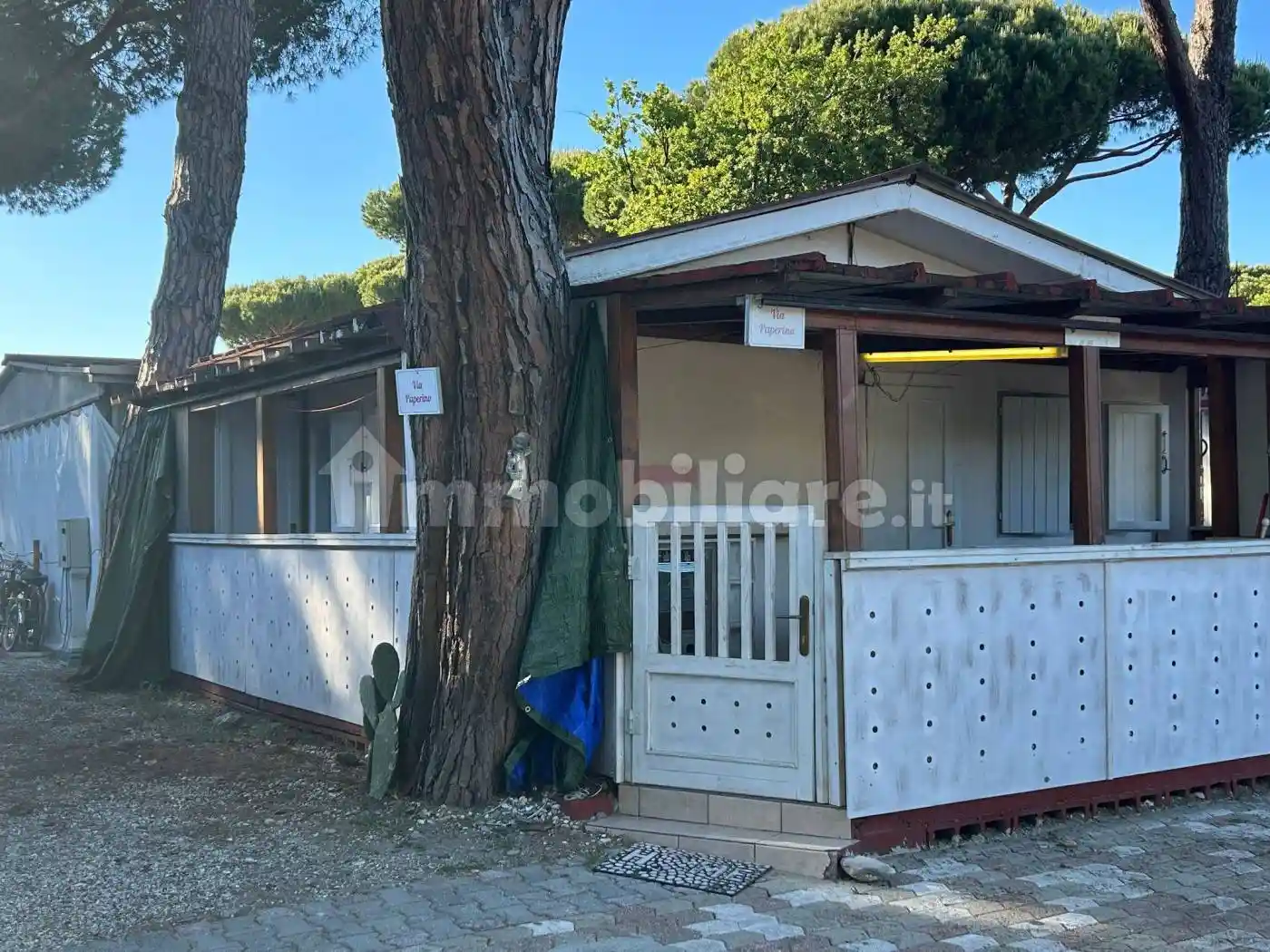 Appartamento in affitto a Massa Marittima