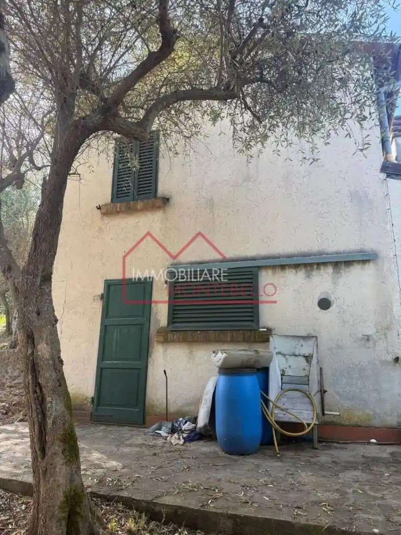 Casa indipendente in vendita a Camaiore
