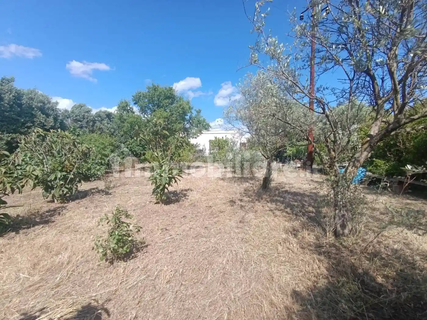 Villa in vendita a Selargius